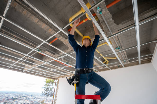 Best Same-Day Plumbing Service  in Williamsburg, FL