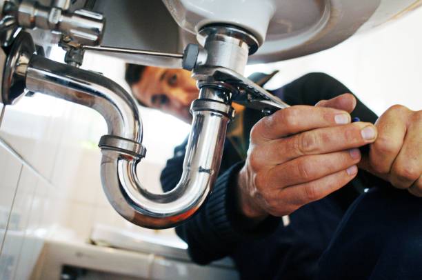 Best Affordable Plumber Near Me  in Williamsburg, FL