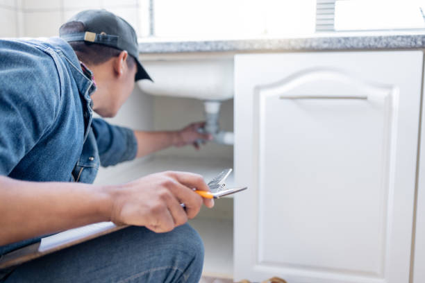 Best Clogged Drain Plumber  in Williamsburg, FL
