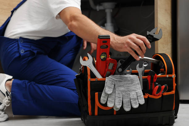 Best Plumbing Repair Near Me  in Williamsburg, FL