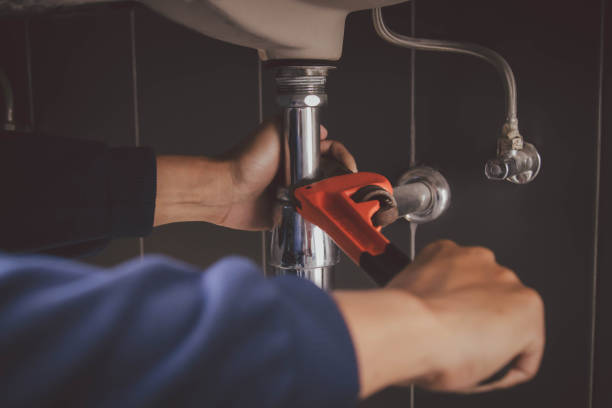 Best Sprinkler Systems  in Williamsburg, FL