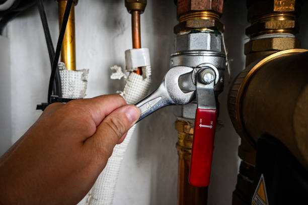 Best Gas Line Repair  in Williamsburg, FL